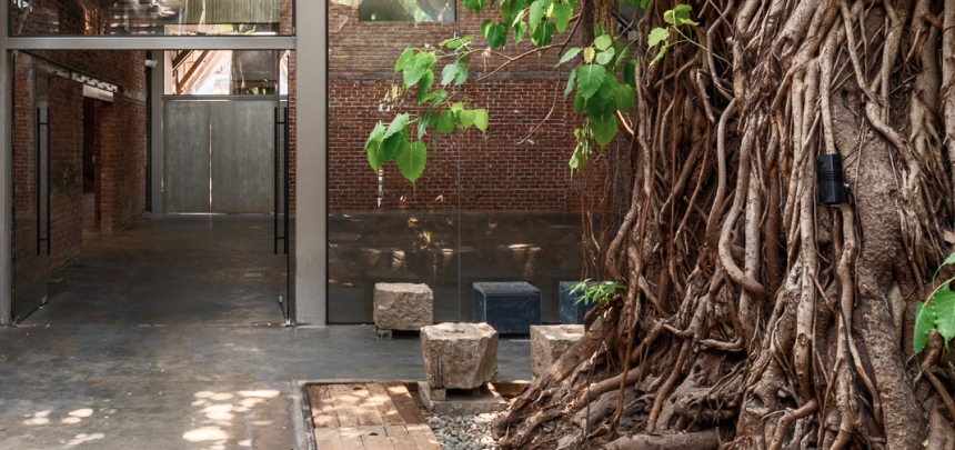 The open-to-sky courtyard beneath the banyan tree